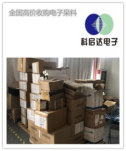 深圳 